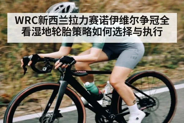 WRC新西兰拉力赛诺伊维尔争冠全看湿地轮胎策略如何选择与执行